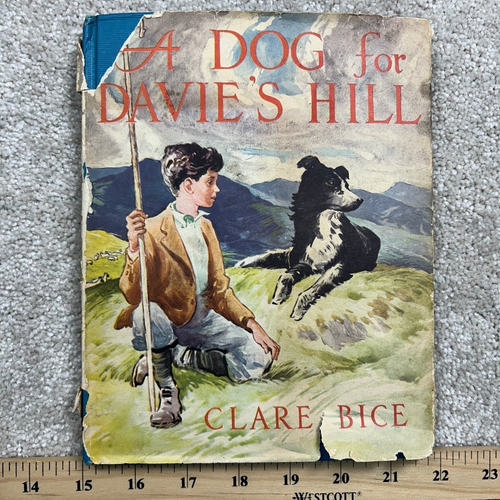 A Dog for Davie's Hill Clare Bice 1957 Children's Book Club Macmillan